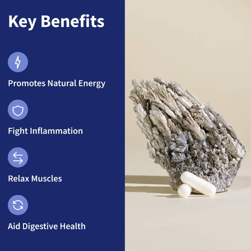 BSYS Magnesium Supplements – Sleep, Muscle & Stress Support | 1/2/3 Bottles